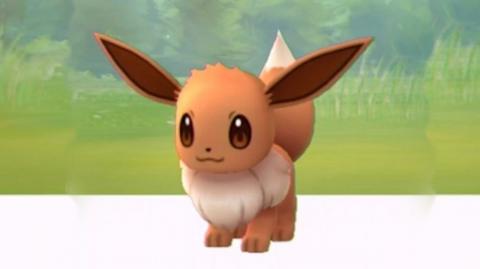 Cheats To Get All Of The Evolutions Of Eevee In Pokemon Fire
