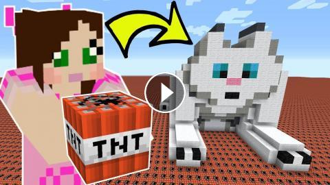 HOW MUCH TNT TO EXPLODE CLOUD THE CAT?!?