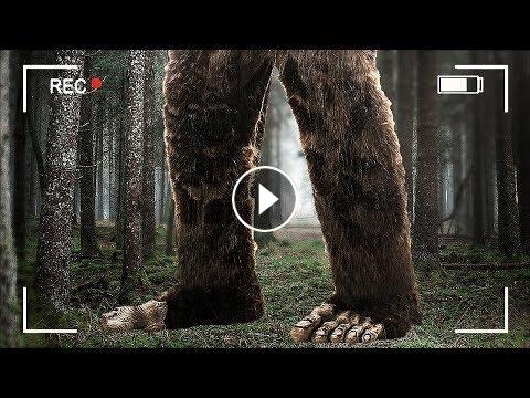 Roblox Finding Bigfoot
