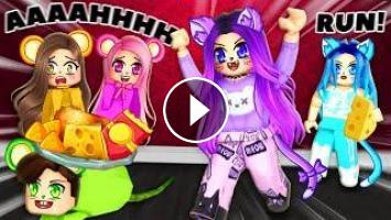 Come Play With Roblox Kitty - noob kitty roblox