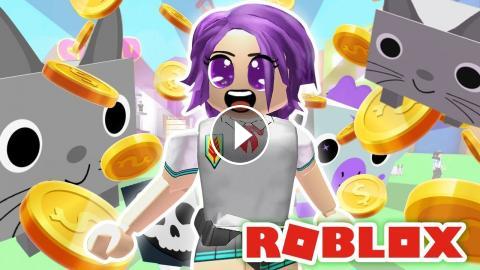 Becoming A Crazy Cat Lady In Roblox Pet Simulator - this is what made me dislike pet simulator roblox