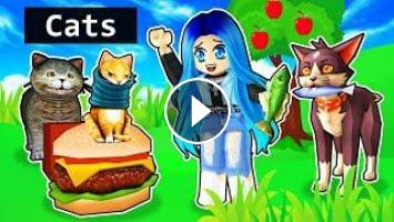 We Find Every Cat In Roblox - find the cats roblox all cats
