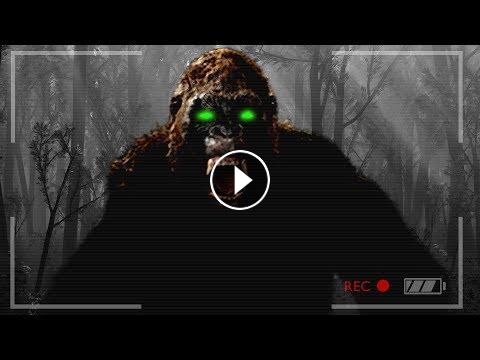Finding Bigfoot Missing People Finding Bigfoot Game - roblox finding bigfoot youtube
